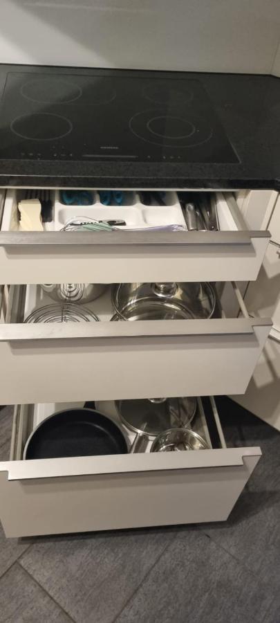 Sofia Apartment - Aare Jungfrau Ag Wilderswil Dış mekan fotoğraf