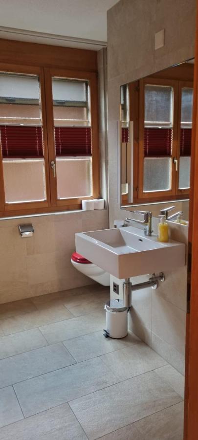 Sofia Apartment - Aare Jungfrau Ag Wilderswil Dış mekan fotoğraf