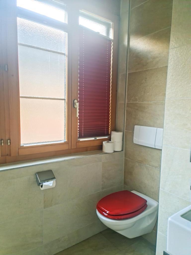 Sofia Apartment - Aare Jungfrau Ag Wilderswil Dış mekan fotoğraf
